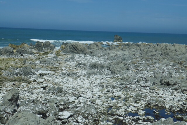 New rocks raised by the earthquake 