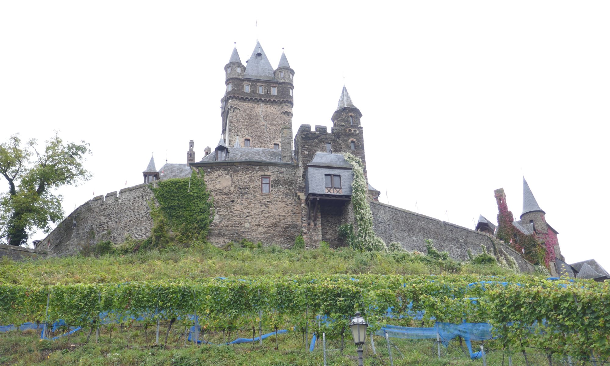 Vineyards below the castle